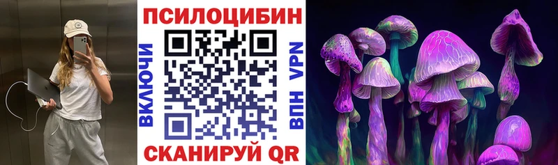 Галлюциногенные грибы ЛСД  Новоалександровск 