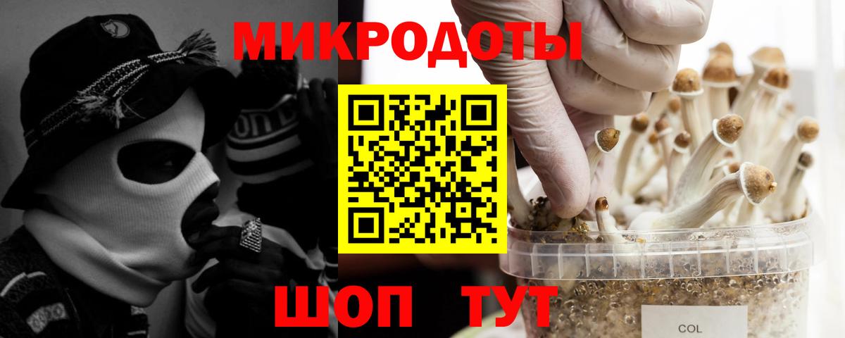 Галлюциногенные грибы мицелий  Галлюциногенные грибы GOLDEN TEACHER  Вход с VPN  Новоалександровск 